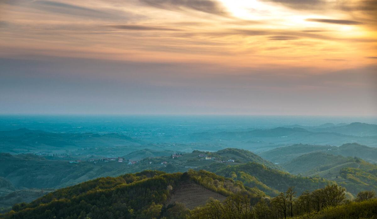春田花花疯人院